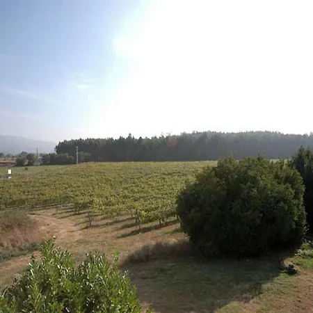 Βίλα Magnificent Ponte De Lima Villa 10 Bedrooms Villa Lima Palace Tennis
